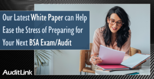 Our Latest White Paper can Help Ease the Stress of Preparing for Your Next BSA Exam/Audit